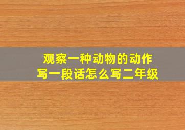 观察一种动物的动作写一段话怎么写二年级