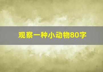 观察一种小动物80字