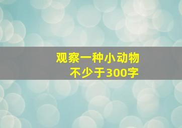 观察一种小动物不少于300字