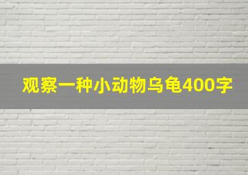 观察一种小动物乌龟400字