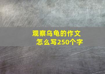 观察乌龟的作文怎么写250个字