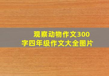 观察动物作文300字四年级作文大全图片