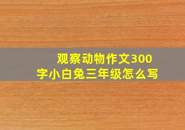 观察动物作文300字小白兔三年级怎么写