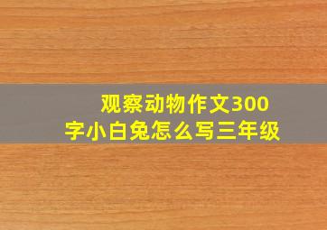 观察动物作文300字小白兔怎么写三年级