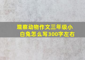 观察动物作文三年级小白兔怎么写300字左右