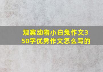 观察动物小白兔作文350字优秀作文怎么写的