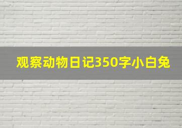 观察动物日记350字小白兔