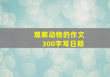 观察动物的作文300字写日期