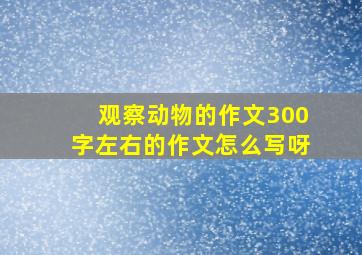 观察动物的作文300字左右的作文怎么写呀