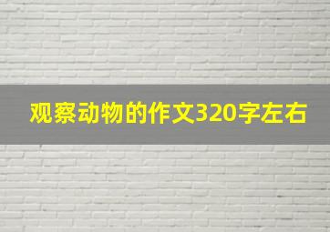 观察动物的作文320字左右