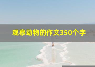 观察动物的作文350个字