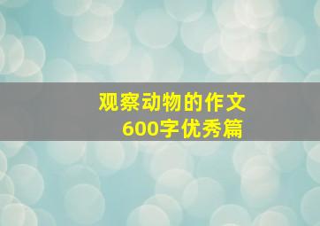 观察动物的作文600字优秀篇