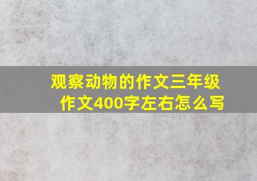 观察动物的作文三年级作文400字左右怎么写