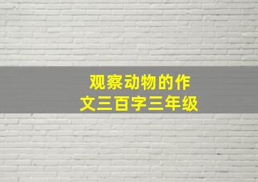 观察动物的作文三百字三年级