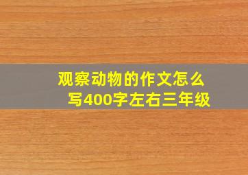 观察动物的作文怎么写400字左右三年级