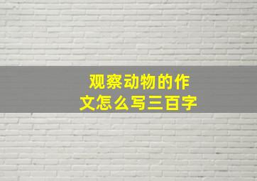 观察动物的作文怎么写三百字