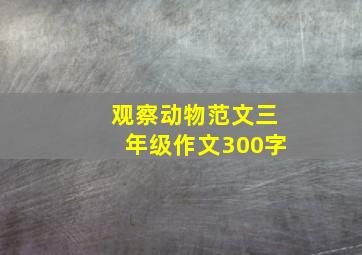 观察动物范文三年级作文300字