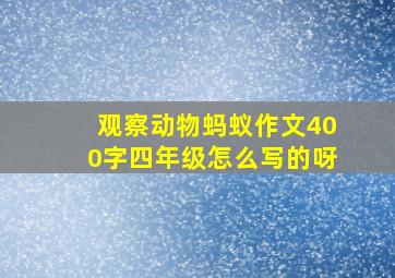 观察动物蚂蚁作文400字四年级怎么写的呀