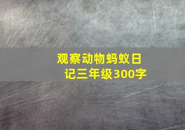 观察动物蚂蚁日记三年级300字