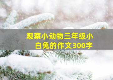 观察小动物三年级小白兔的作文300字