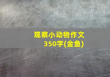 观察小动物作文350字(金鱼)