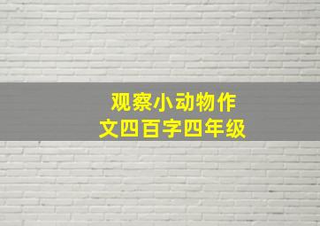 观察小动物作文四百字四年级