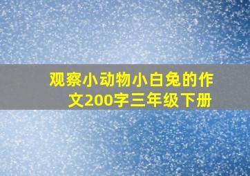 观察小动物小白兔的作文200字三年级下册