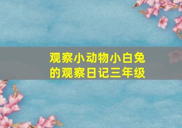 观察小动物小白兔的观察日记三年级