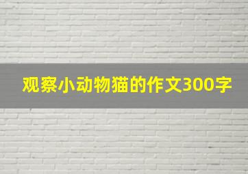 观察小动物猫的作文300字