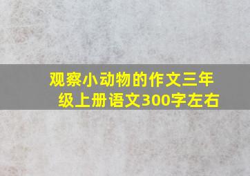 观察小动物的作文三年级上册语文300字左右