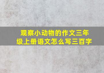 观察小动物的作文三年级上册语文怎么写三百字