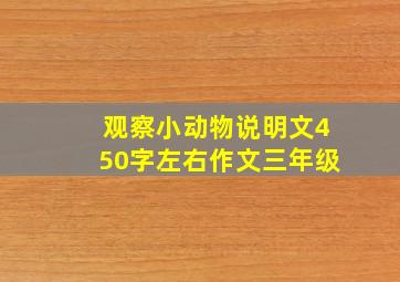 观察小动物说明文450字左右作文三年级