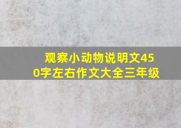 观察小动物说明文450字左右作文大全三年级