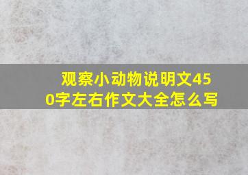 观察小动物说明文450字左右作文大全怎么写