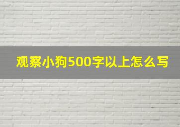 观察小狗500字以上怎么写