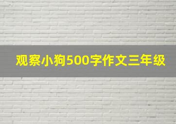 观察小狗500字作文三年级