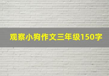 观察小狗作文三年级150字