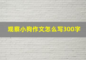 观察小狗作文怎么写300字