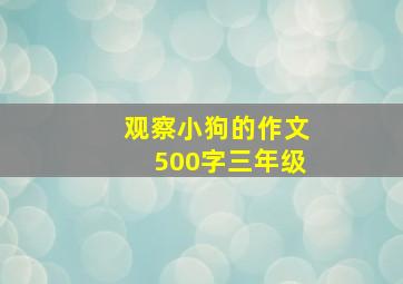 观察小狗的作文500字三年级