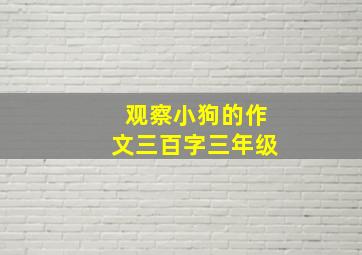 观察小狗的作文三百字三年级