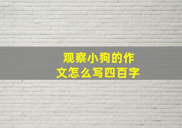 观察小狗的作文怎么写四百字