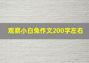 观察小白兔作文200字左右