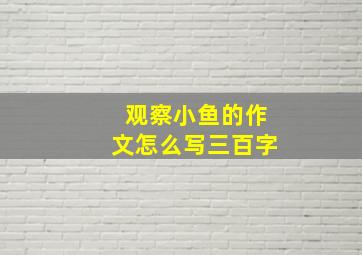 观察小鱼的作文怎么写三百字