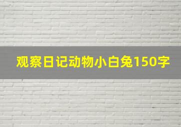 观察日记动物小白兔150字