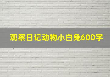 观察日记动物小白兔600字