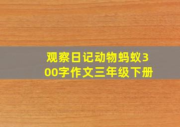 观察日记动物蚂蚁300字作文三年级下册