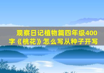 观察日记植物篇四年级400字《桃花》怎么写从种子开写