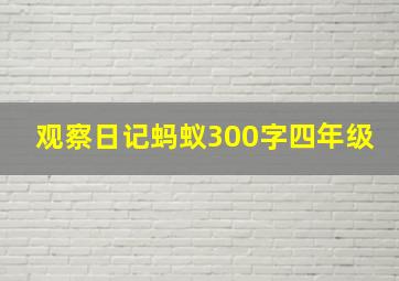 观察日记蚂蚁300字四年级