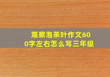 观察泡茶叶作文600字左右怎么写三年级