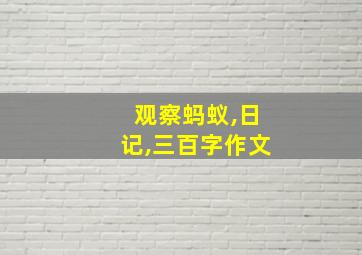 观察蚂蚁,日记,三百字作文